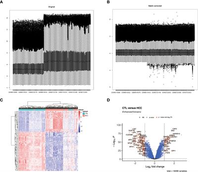 Screening immune-related blood biomarkers for DKD-related HCC using machine learning